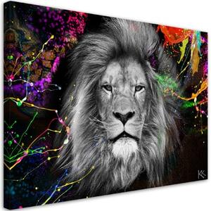 Obraz na plátně, Barevná abstrakce lva - 120x80 cm