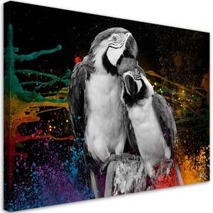 Obraz na plátně, Barevné abstrakce papoušků - 90x60 cm