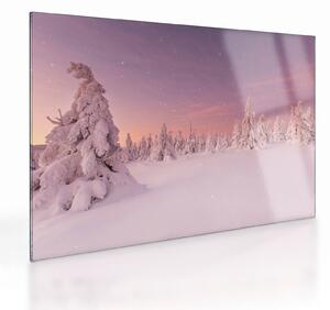 Skleněný obraz - Stromy pod sněhovou přikrývkou (70x50 cm)