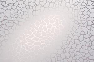 Statická fólie d-c-fix transparent mat FOLIE45LEV