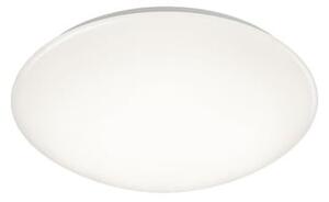 LED stropní osvětlení Trio Paolo bílá TR 686014001