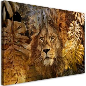 Obraz na plátně, Lev a zlaté listy - 90x60 cm