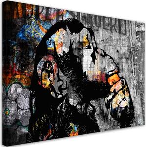 Obraz na plátně, Street Art Banky Monkey Abstraction - 60x40 cm