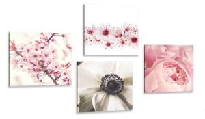 Set obrazů jemnost květin - 4x 40x40 cm