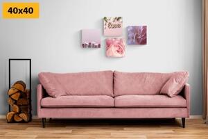 Set obrazů květiny v jemném růžovém odstínu - 4x 40x40 cm