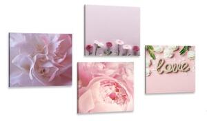 Set obrazů květiny v jemném růžovém odstínu - 4x 40x40 cm