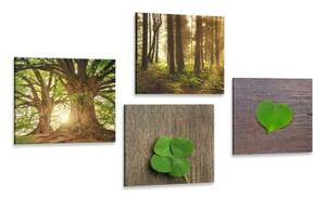 Set obrazů vánek přírody - 4x 40x40 cm