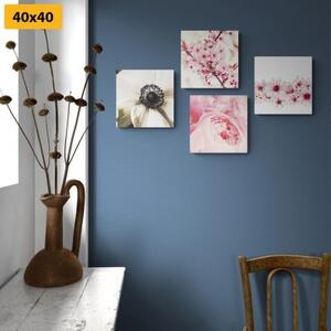 Set obrazů jemnost květin - 4x 40x40 cm
