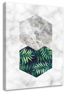 Obraz na plátně List kapradiny v šestiúhelníku - 40x60 cm