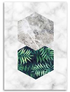 Obraz na plátně List kapradiny v šestiúhelníku - 40x60 cm