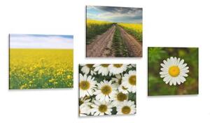 Set obrazů louka plná květin - 4x 40x40 cm