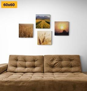 Set obrazů kouzlo přírody - 4x 40x40 cm