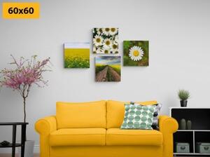 Set obrazů louka plná květin - 4x 40x40 cm