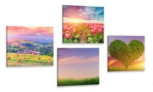 Set obrazů příroda v pastelových barvách - 4x 40x40 cm