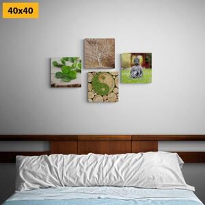 Set obrazů Feng Shui s prvky přírody - 4x 40x40 cm