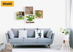 Set obrazů Feng Shui s prvky přírody - 4x 40x40 cm