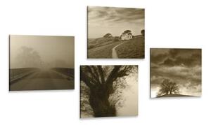 Set obrazů tajemná příroda v sépiovém provedení - 4x 40x40 cm