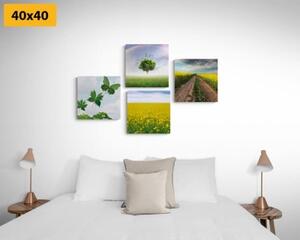 Set obrazů oslnivá příroda - 4x 40x40 cm