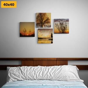 Set obrazů čarokrásná příroda - 4x 40x40 cm