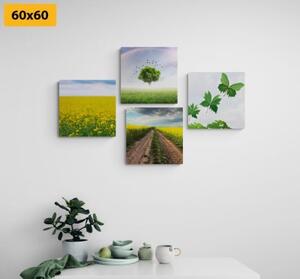 Set obrazů oslnivá příroda - 4x 60x60 cm