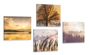 Set obrazů přírodní krásy - 4x 40x40 cm