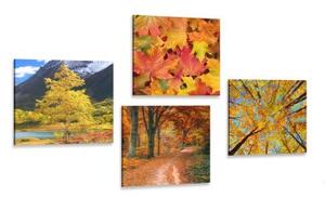 Set obrazů podzimní příroda v nádherných barvách - 4x 40x40 cm
