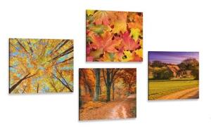 Set obrazů příroda v podzimních barvách - 4x 40x40 cm