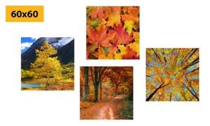 Set obrazů podzimní příroda v nádherných barvách - 4x 40x40 cm