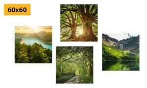 Set obrazů nádherná zelená příroda - 4x 40x40 cm