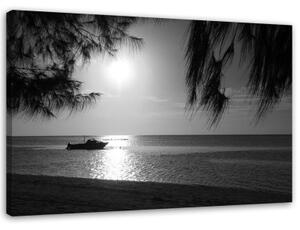 Obraz na plátně Sea Palms Black and White - 90x60 cm