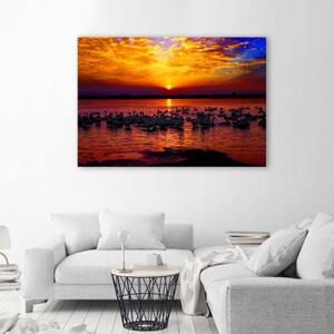 Obraz na plátně Labutě při západu slunce - 60x40 cm