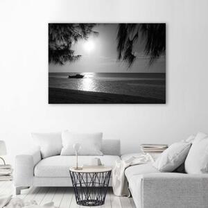 Obraz na plátně Mořská palma černá a bílá - 120x80 cm