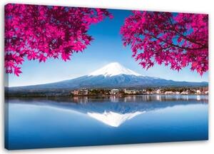 Obraz na plátně Růžové listy jezera Mount Fuji - 120x80 cm