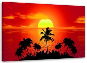 Obraz na plátně Palmové moře červený západ slunce - 100x70 cm