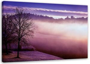 Obraz na plátně Mlha nad Fialovým jezerem - 90x60 cm