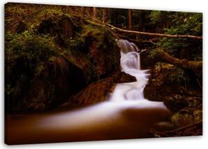 Obraz na plátně Horský potok Forest - 60x40 cm