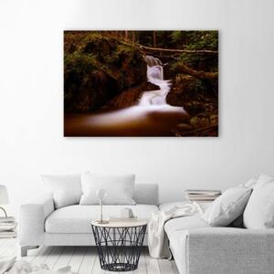 Obraz na plátně Horský potok Forest - 60x40 cm