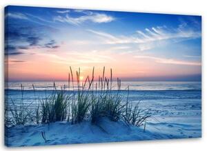 Obraz na plátně pláž tráva duny moře - 100x70 cm