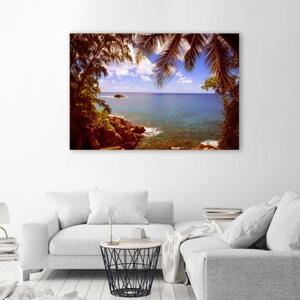 Obraz na plátně Palmy Skalnatá pláž - 60x40 cm