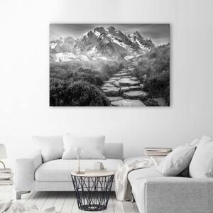 Obraz na plátně Horská krajina šedá - 90x60 cm