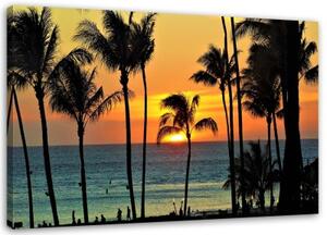 Obraz na plátně Palmy při západu slunce na pláži - 100x70 cm
