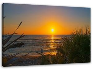 Obraz na plátně Plážová tráva při západu slunce - 90x60 cm