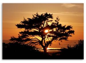 Obraz na plátně Strom moře západ slunce - 60x40 cm