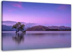 Obraz na plátně Tree Lake Purple - 90x60 cm