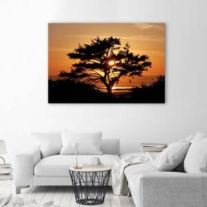 Obraz na plátně Strom moře západ slunce - 60x40 cm