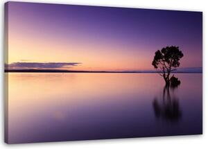 Obraz na plátně Přírodní strom Fialové jezero - 60x40 cm