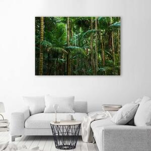 Obraz na plátně Palmy Les Příroda - 60x40 cm