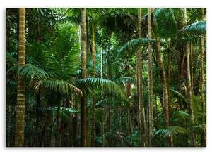 Obraz na plátně Palmy Les Příroda - 60x40 cm