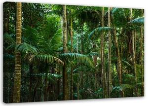 Obraz na plátně Palmy Les Příroda - 120x80 cm