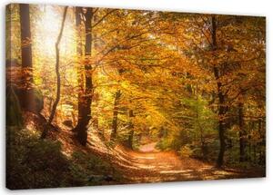 Obraz na plátně Les Podzimní krajina Příroda - 100x70 cm